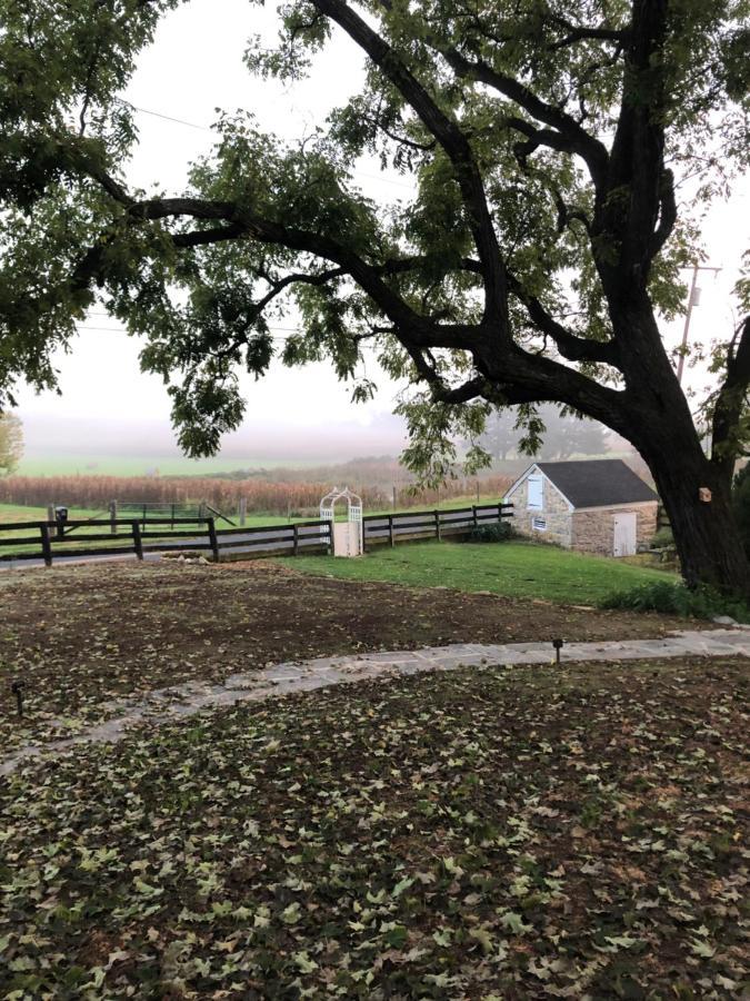 Cider House Bed And Breakfast 韦恩斯伯勒 外观 照片