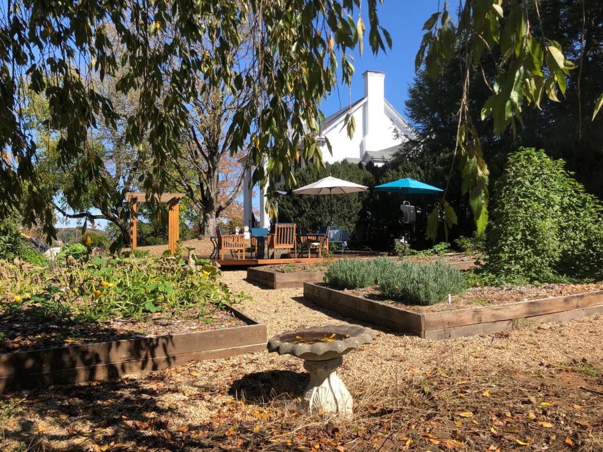 Cider House Bed And Breakfast 韦恩斯伯勒 外观 照片