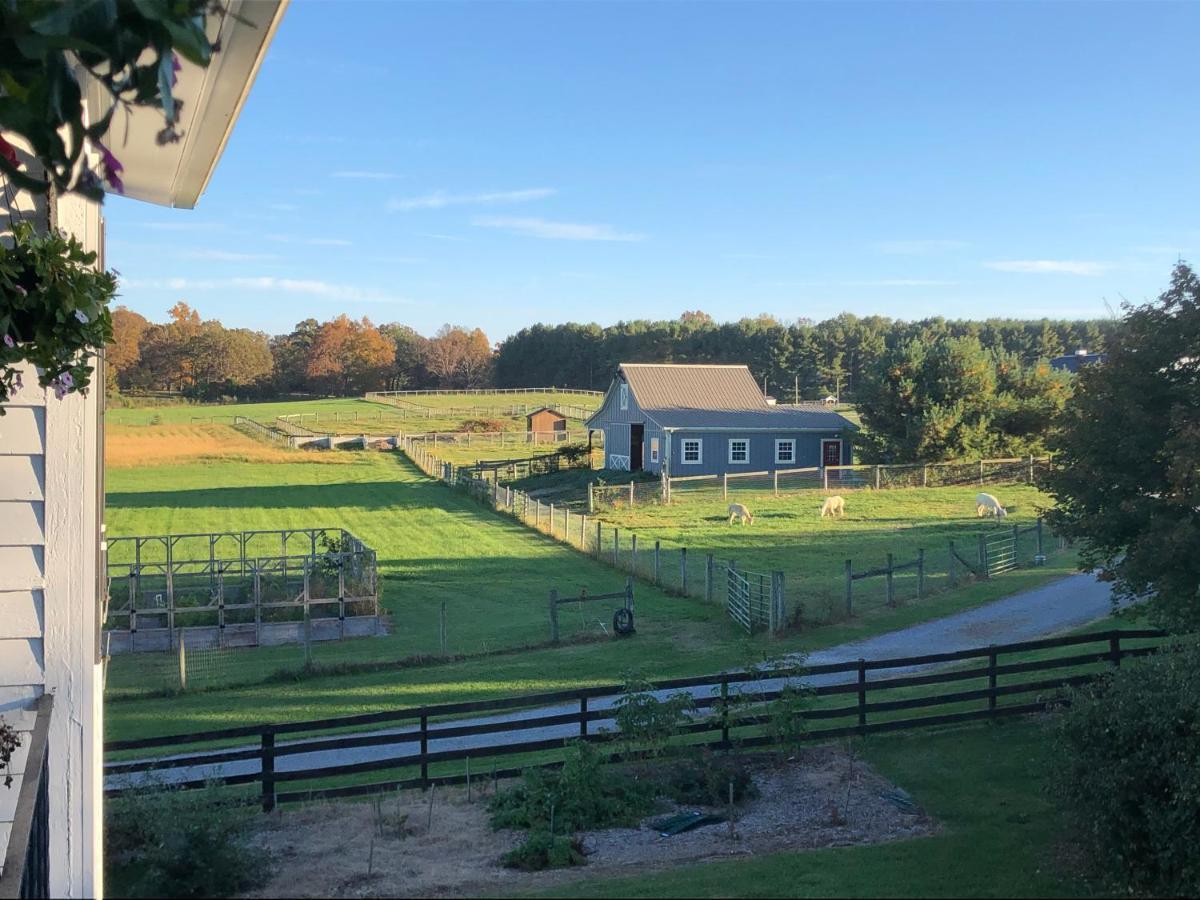 Cider House Bed And Breakfast 韦恩斯伯勒 外观 照片