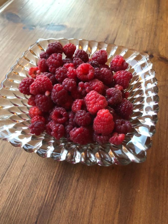 Cider House Bed And Breakfast 韦恩斯伯勒 外观 照片